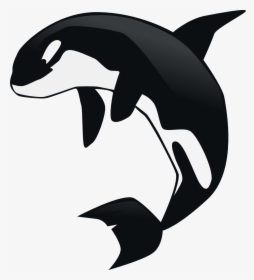 Transparent Whale Clipart Png - Killer Whale Clipart Png, Png Download, Transparent PNG