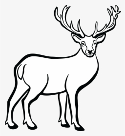 Free Clipart Of A Buck Deer - Deer Black And White, HD Png Download, Transparent PNG