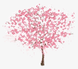 Cherry Blossom Tree Png Resume Vector Painted Pink - Cherry Blossom Tree Vector Png, Transparent Png, Transparent PNG