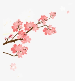 Korean Style Cherry Blossom Cartoon Transparent - Cherry Blossom Cartoon Png, Png Download, Transparent PNG