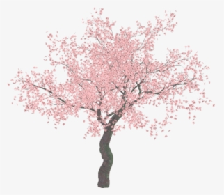 Illustrator Tree Png - Transparent Background Cherry Blossom Tree Png, Png Download, Transparent PNG