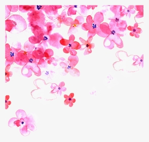Hand Painted Pink Cherry Blossom Transparent Decorative, HD Png Download, Transparent PNG