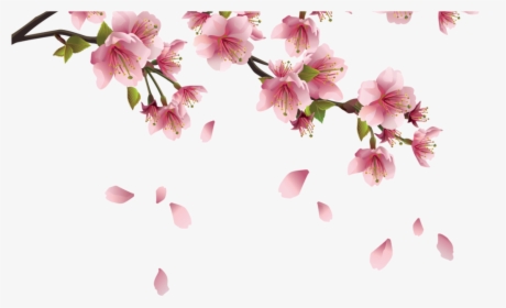 Beautiful Pink Spring Branch With Falling Petals Png - Transparent Sakura Flower Png, Png Download, Transparent PNG