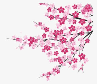 64 Cherry Blossom Tree Branch Cliparts For Your Inspiration - Cherry Blossom Tree Clipart, HD Png Download, Transparent PNG
