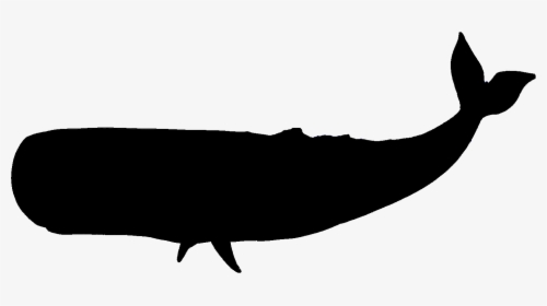Sperm Whale Clipart Black And White - Whale Silhouette Transparent Background, HD Png Download, Transparent PNG