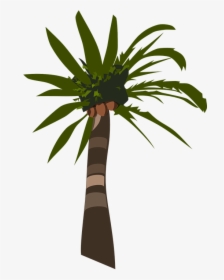 Palm, Tree, Plant, Tropical, Coconuts - Palm Tree Clip Art, HD Png Download, Transparent PNG
