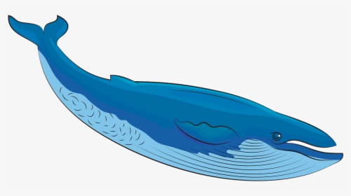 Whale Clipart Teal, HD Png Download, Transparent PNG