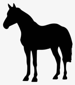 Png File Svg - Quarter Horse Silhouette, Transparent Png, Transparent PNG