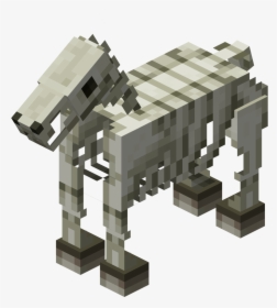 Skeleton Horse Minecraft, HD Png Download, Transparent PNG