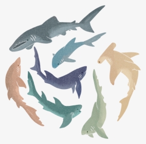Cute Shark Png - Aesthetic Cute Shark Backgrounds, Transparent Png, Transparent PNG