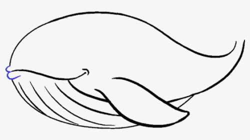 Clip Art How To Draw A - Whale Drawing Png, Transparent Png, Transparent PNG