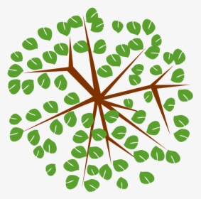 Tree Top View Icon Png , Transparent Cartoons - Clipart Of Tree Top, Png Download, Transparent PNG