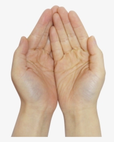 Praying Hands Png Image - Transparent Pray Hand Png, Png Download, Transparent PNG