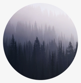 37980008 Dark Forest Wallpaper - Хелависа Ветер Кровь И Серебро, HD Png Download, Transparent PNG