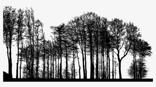 Forest, Trees, Silhouette, Tree, Branches, Landscape - Forest Trees Silhouette Png, Transparent Png, Transparent PNG