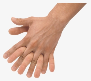Hand Holding Something Png - Transparent Holding Hands Png, Png Download, Transparent PNG
