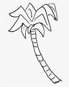 Transparent Palm Tree Top View Png - Palm Tree Drawing Transparent, Png Download, Transparent PNG