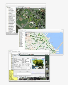 Tree Management Software - Plan, HD Png Download, Transparent PNG