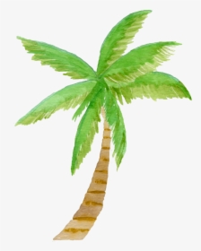 Tree Clipart Kids - Palm Tree Clip Art Watercolor, HD Png Download, Transparent PNG
