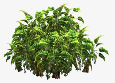 Plants Png Transparent Top View - Tropical Plantas Plant Png, Png Download, Transparent PNG