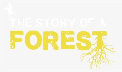 The Story Of A Forest Logo Web - Poster, HD Png Download, Transparent PNG