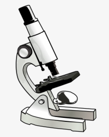 Microscope Clipart, HD Png Download, Transparent PNG