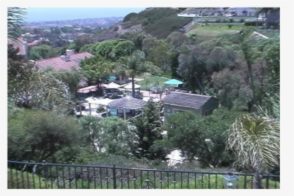 2 Acre Resort Home With Ocean View, Pool, Waterfall, - Tree, HD Png Download, Transparent PNG