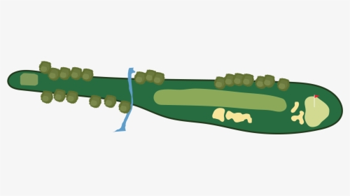 Tree, HD Png Download, Transparent PNG