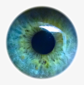 Iris Eyes Eye Light Pupil Human Clipart - Eyes Light Blue Png, Transparent Png, Transparent PNG