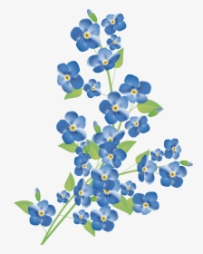 Scorpion Grasses Stock Photography Royalty-free Clip - Png Forget Me Not, Transparent Png, Transparent PNG