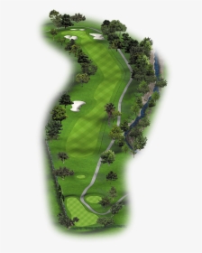 Tree, HD Png Download, Transparent PNG