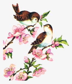Transparent Love Birds Png - Vintage Bird Clip Art, Png Download, Transparent PNG