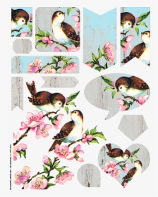 Free Vintage Bird Collage Sheet - Vintage Bird No Background, HD Png Download, Transparent PNG