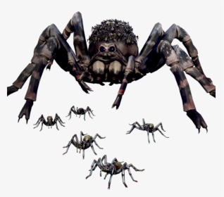 Earth Defense Force Spiders, HD Png Download, Transparent PNG