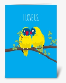 Love Us Love Birds Greeting Card - Budgie, HD Png Download, Transparent PNG