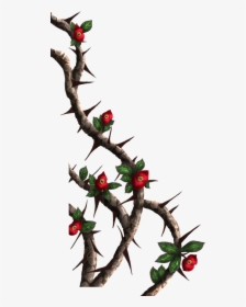 Drawings Of Roses With Vines And Thorns Crown Painted, HD Png Download, Transparent PNG