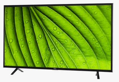 Tcl 49” Class D1-series Led Hdtv - Tcl 1 Series, HD Png Download, Transparent PNG