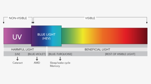 Light Spectrum Blue Light, HD Png Download, Transparent PNG