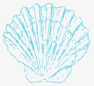 Seashell Clipart Blue, HD Png Download, Transparent PNG