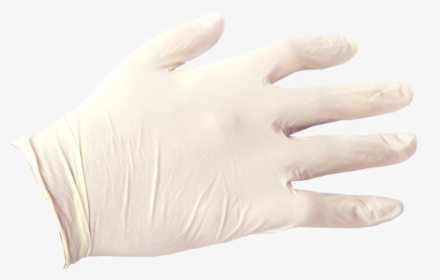 White Vinyl Exam Gloves, HD Png Download, Transparent PNG