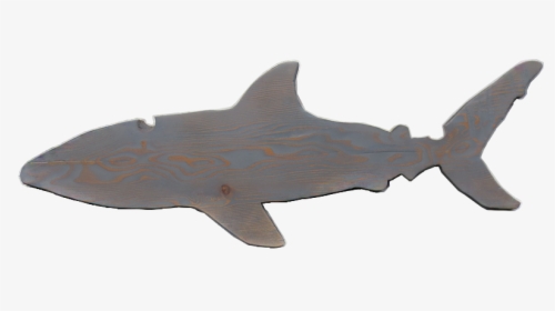 Class Lazyload Lazyload Mirage Cloudzoom Featured Image - Great White Shark, HD Png Download, Transparent PNG