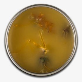 Petri Dish Png, Transparent Png, Transparent PNG