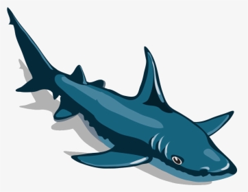 Clip Art Shark Hammerhead - Big Shark Pnj, HD Png Download, Transparent PNG