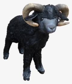 Bam The Ram Toy, HD Png Download, Transparent PNG