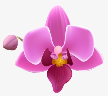 Purple Orchid Png- - Orchid Flower Png, Transparent Png, Transparent PNG