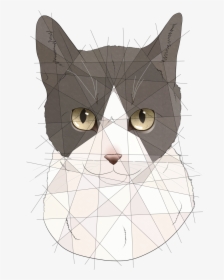 @resting Meme Face’s Cat Deuces These Pieces Are On - Domestic Short-haired Cat, HD Png Download, Transparent PNG