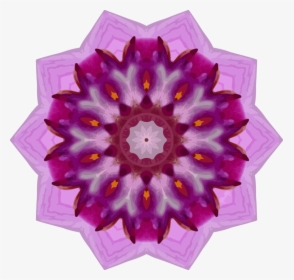 Pink,flower,purple - Kaleidoscope, HD Png Download, Transparent PNG