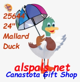 Mallard Duck Png, Transparent Png, Transparent PNG