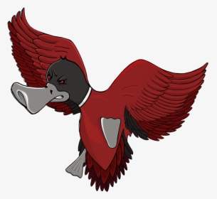 We Design Build Excite Flying Duck Clipart , Png Download - Bird Of Prey, Transparent Png, Transparent PNG