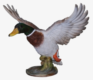 Vivid Arts Resin Flying Duck Medium - Mallard, HD Png Download, Transparent PNG